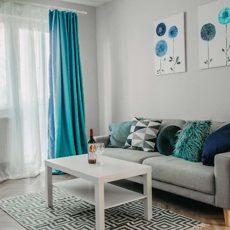 Business And Travel Central Apartment ティミショアラ エクステリア 写真