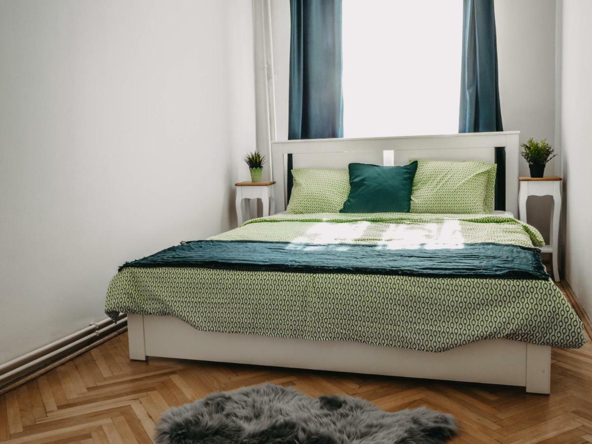 Business And Travel Central Apartment ティミショアラ エクステリア 写真