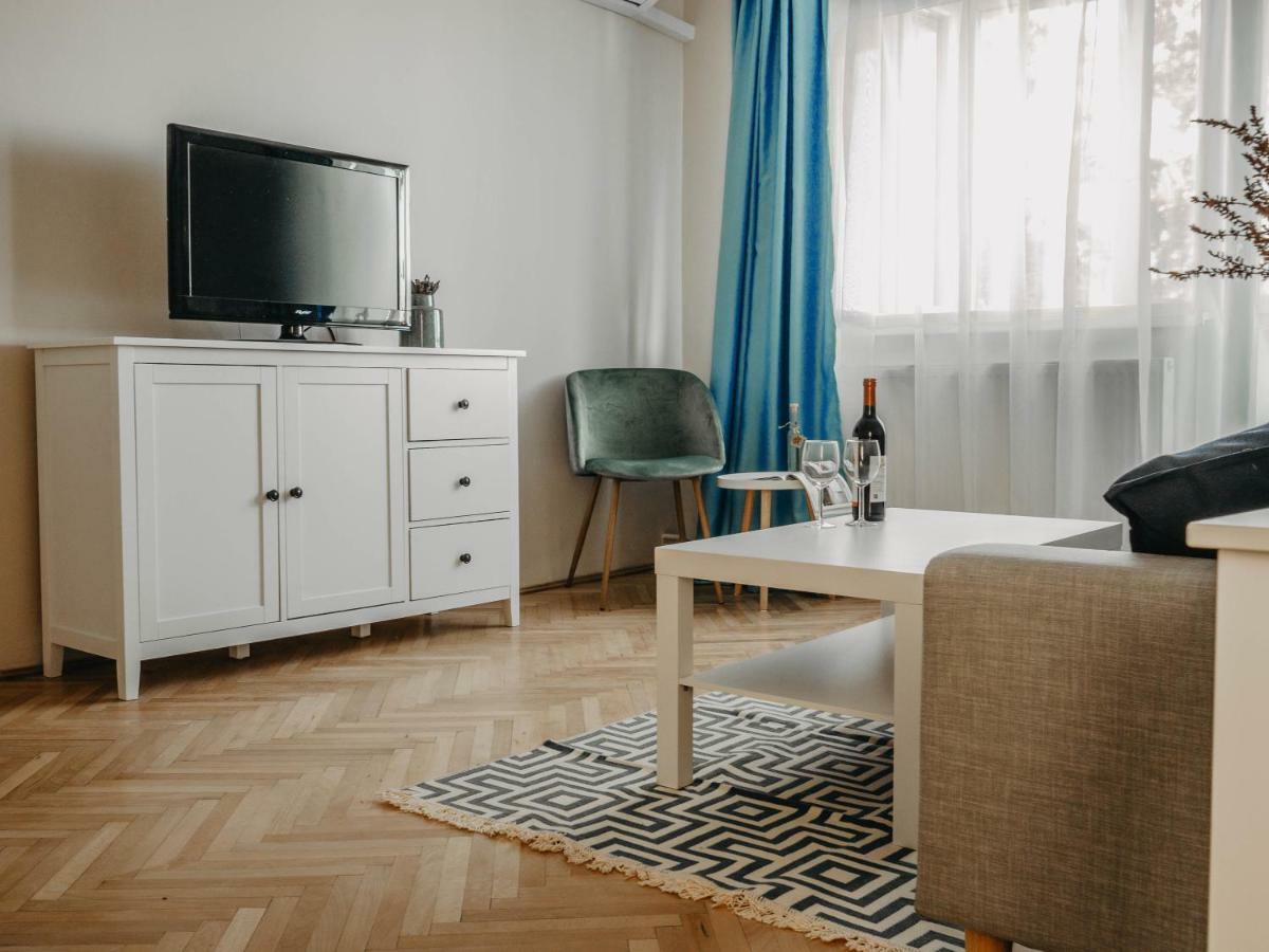 Business And Travel Central Apartment ティミショアラ エクステリア 写真