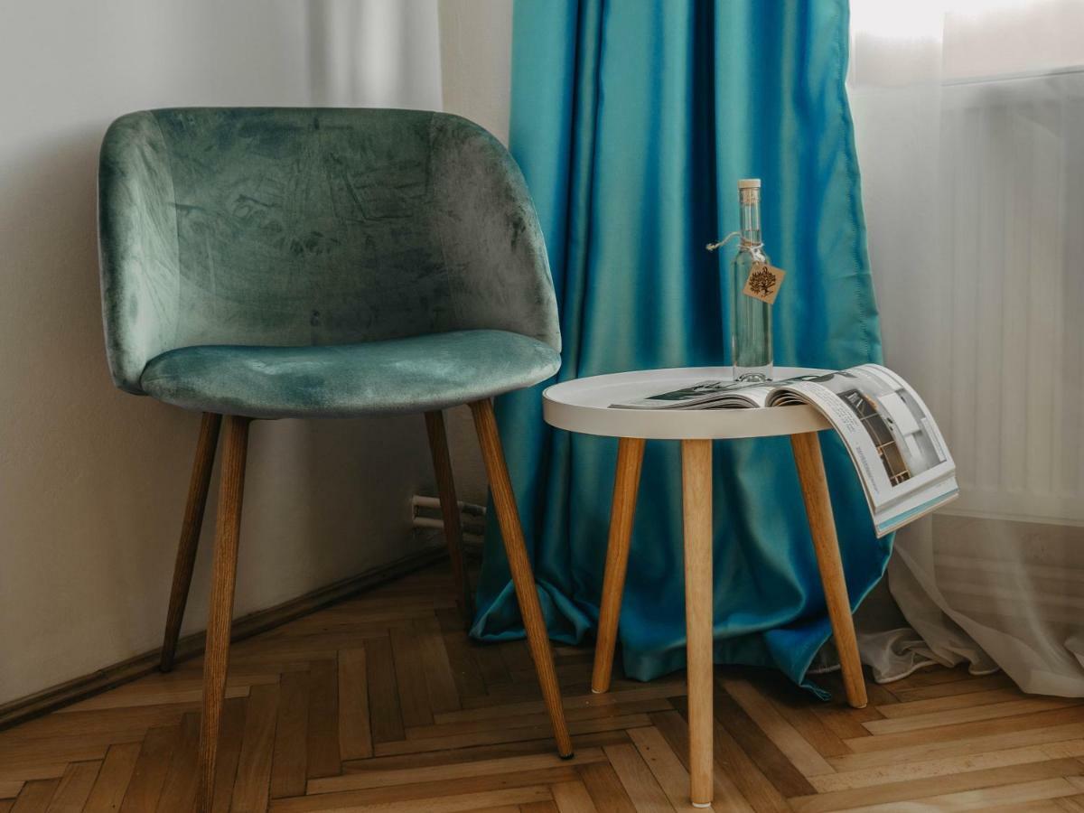 Business And Travel Central Apartment ティミショアラ エクステリア 写真