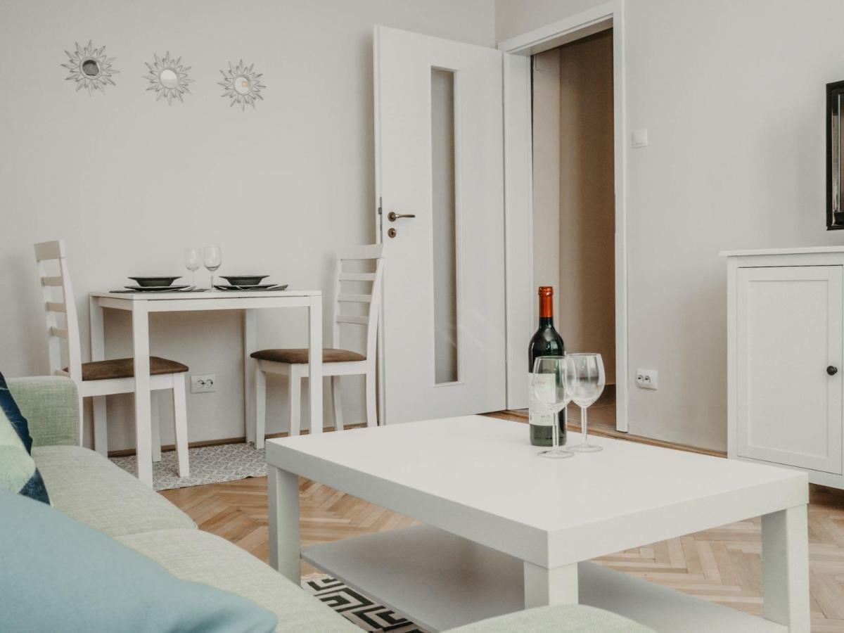 Business And Travel Central Apartment ティミショアラ エクステリア 写真