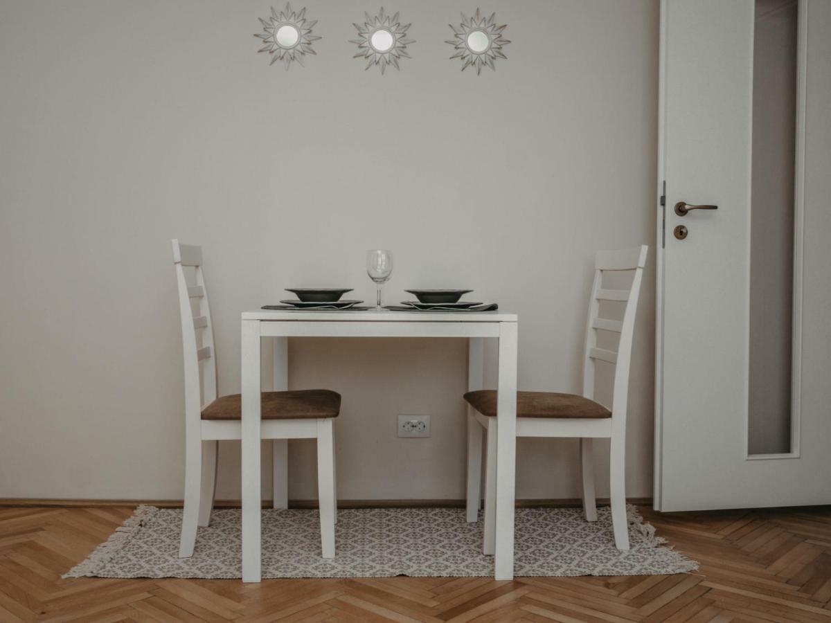 Business And Travel Central Apartment ティミショアラ エクステリア 写真