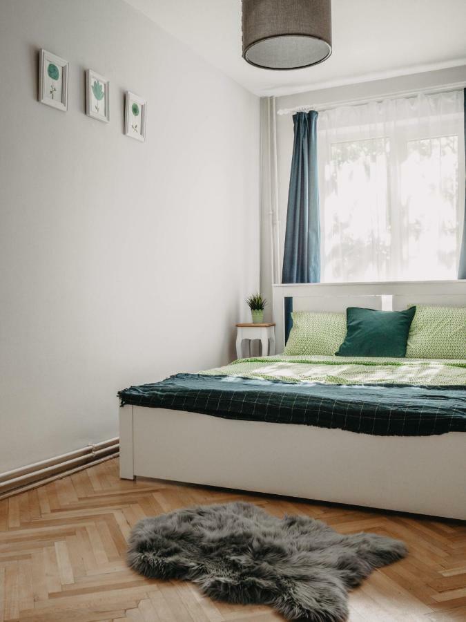 Business And Travel Central Apartment ティミショアラ エクステリア 写真