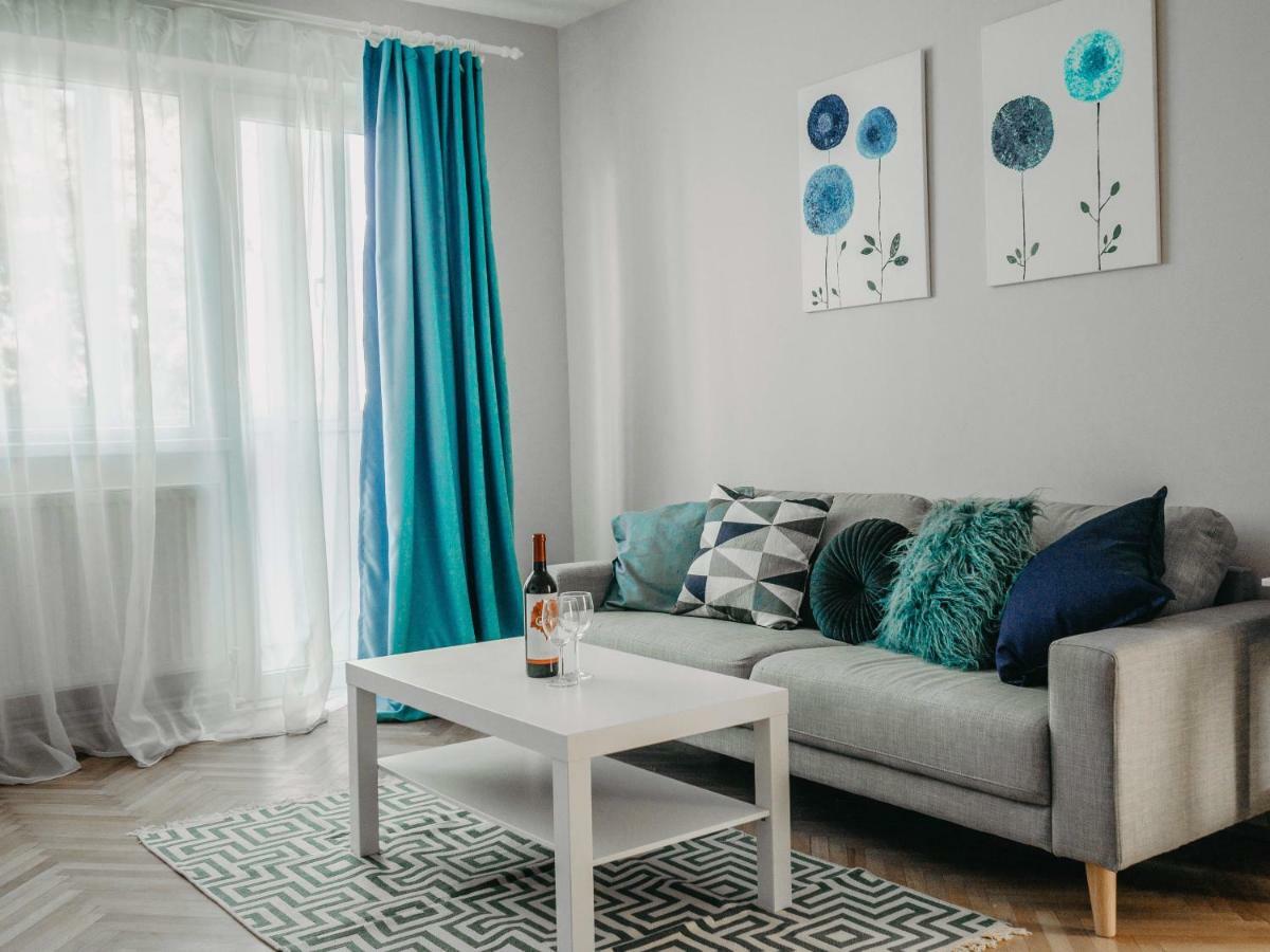 Business And Travel Central Apartment ティミショアラ エクステリア 写真