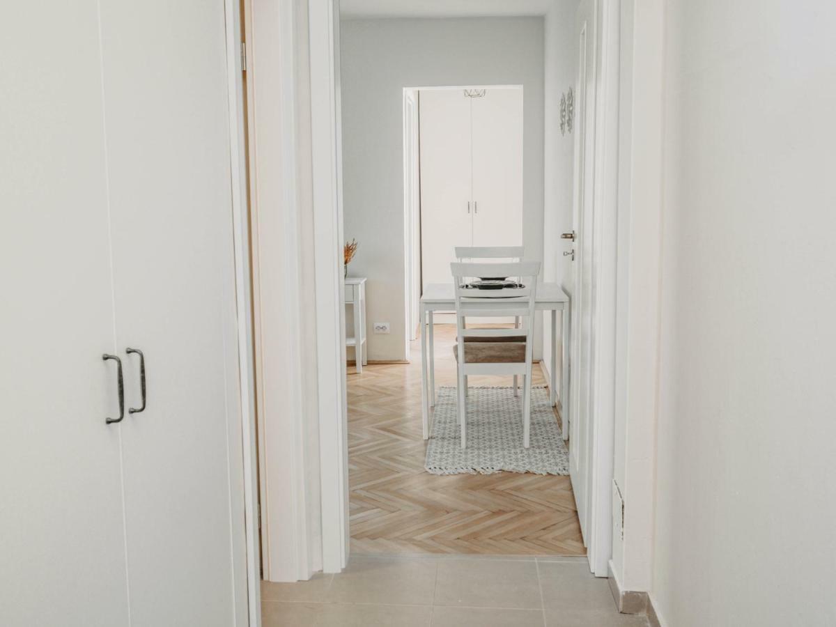 Business And Travel Central Apartment ティミショアラ エクステリア 写真